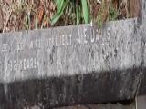 image of grave number 451970